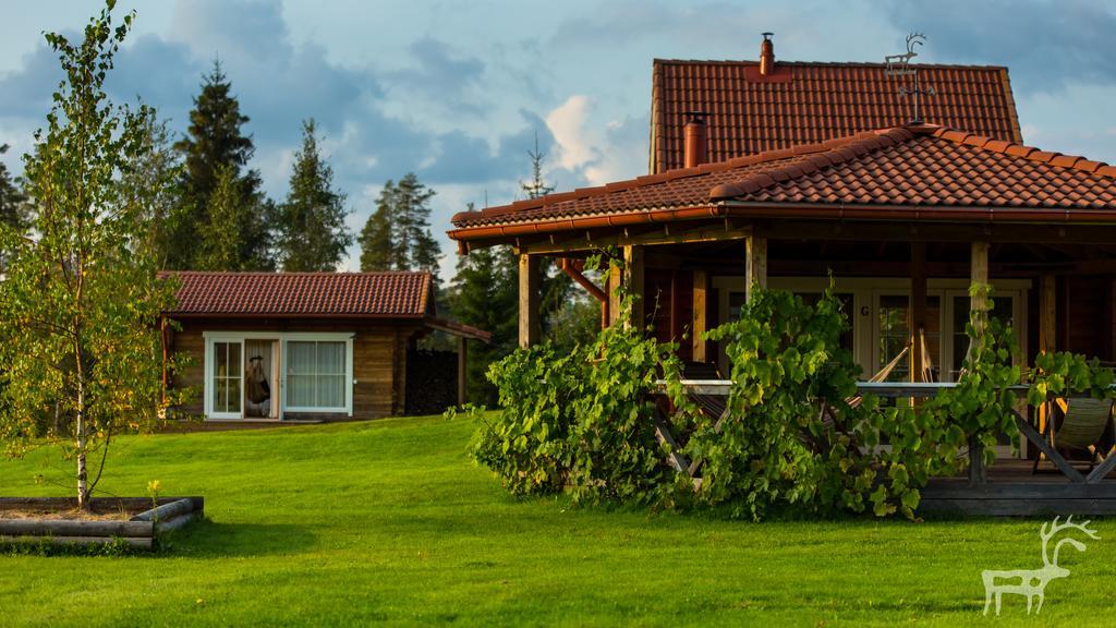 Viesu Majas Briedisi Villa Raiskums Eksteriør bilde