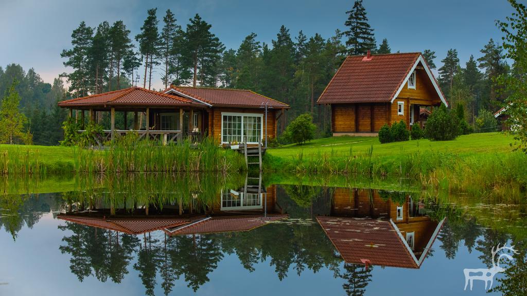 Viesu Majas Briedisi Villa Raiskums Rom bilde